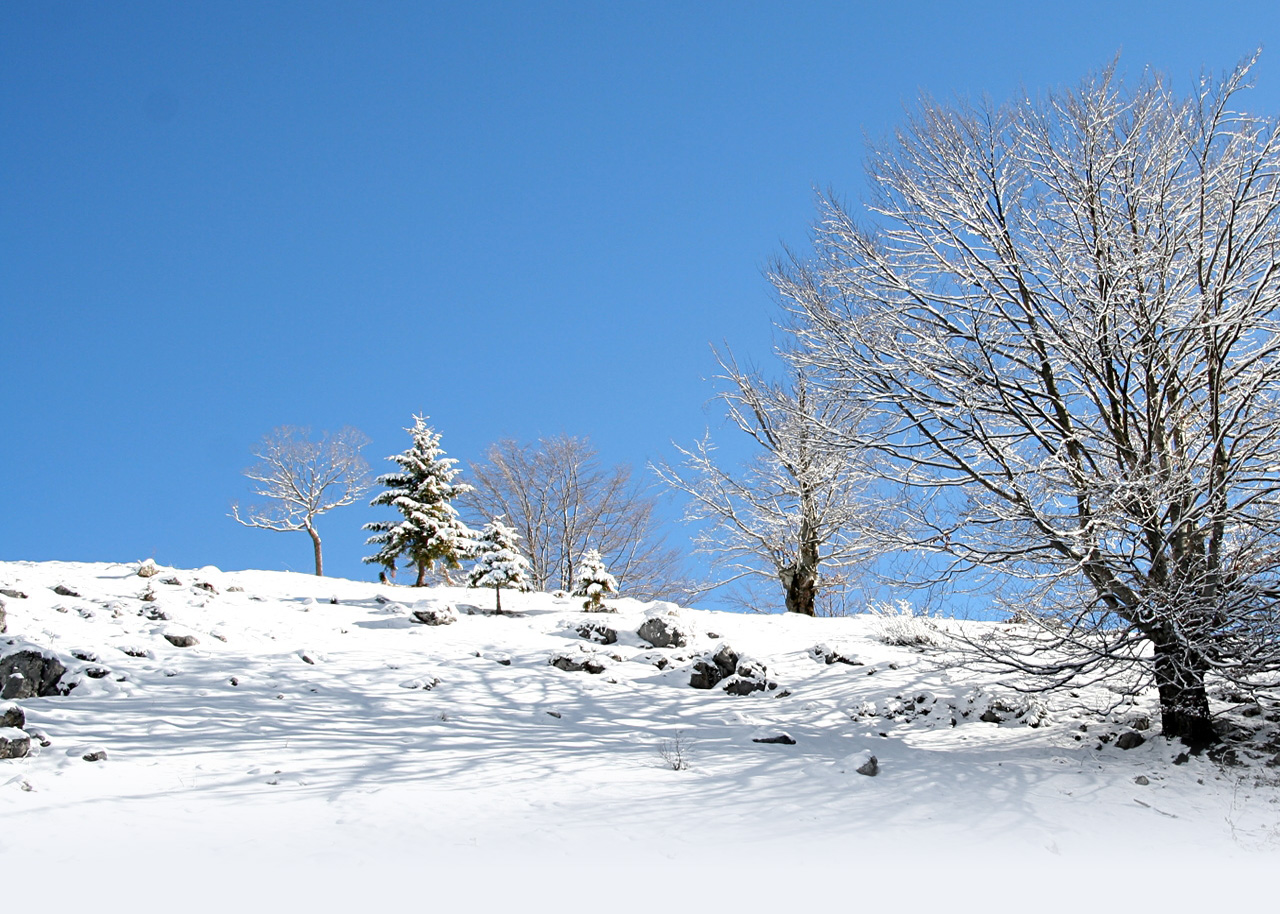 Παραδοσιακός Ξενώνας Λίθος χιονισμένο τοπίο